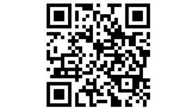https://bus.gov.ru/qrcode/rate/427545.